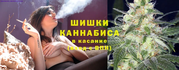 дживик Абаза